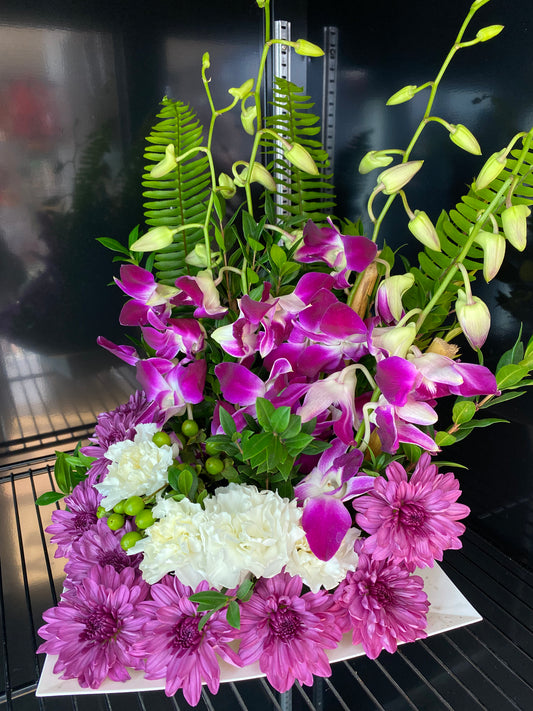 Designer Orchids Choice