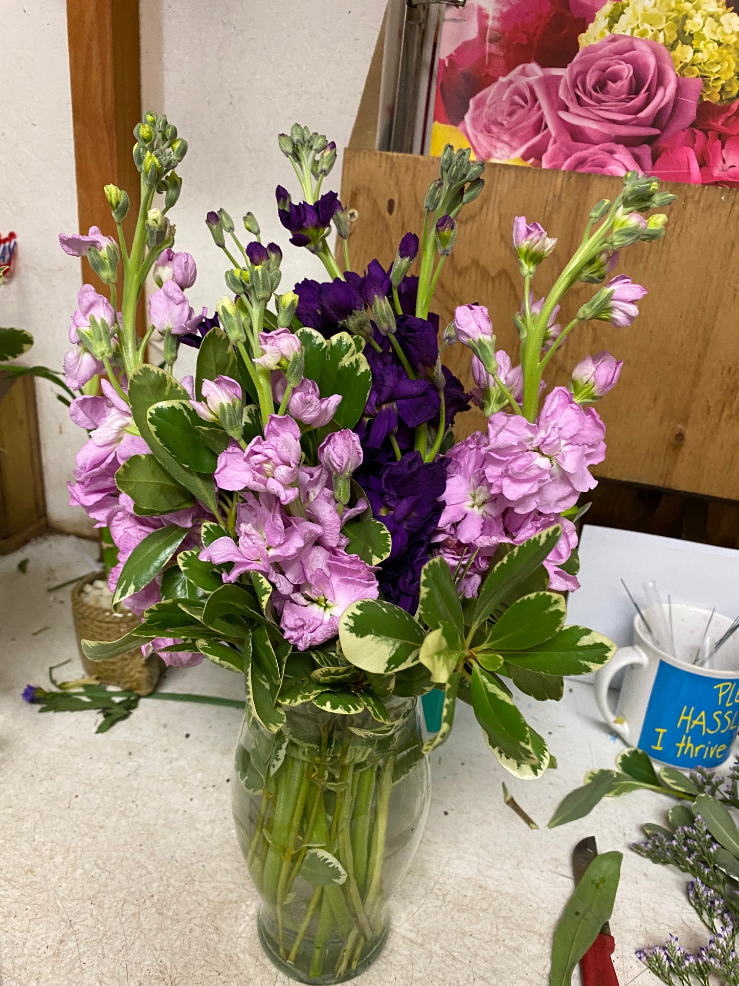 Purple Bloom