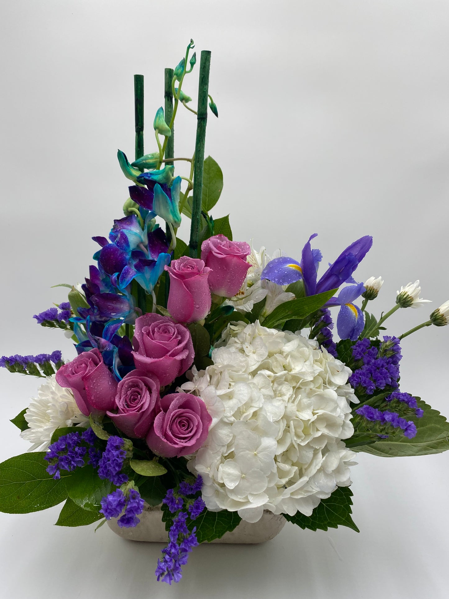 Bright Day Blooms