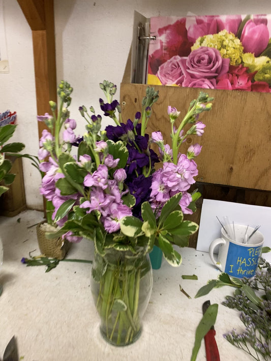 Purple Bloom